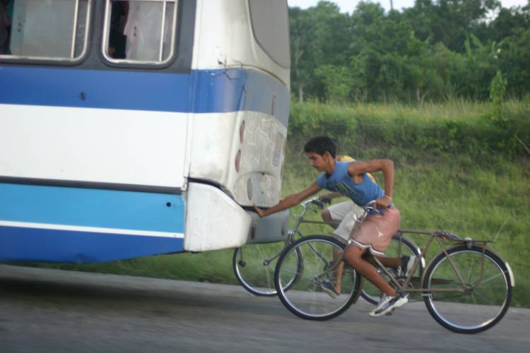 Велосипедисты за автобусом