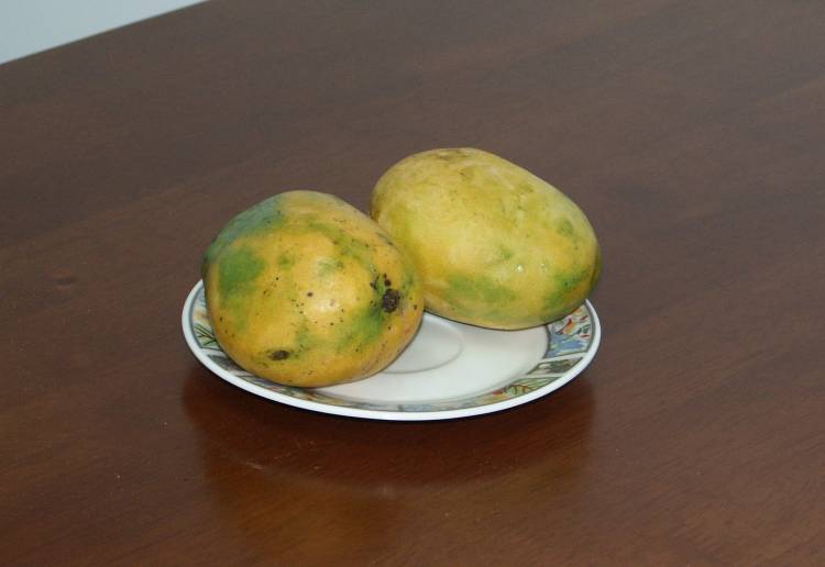Большие манго